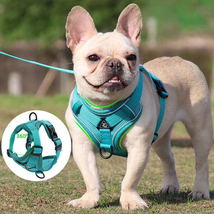 BarkBlings™ No-Pull Harness & Leash Set – Adjustable, Reflective Vest for Small Dogs