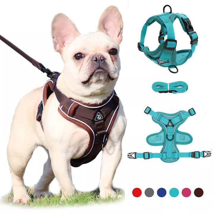 BarkBlings™ No-Pull Harness & Leash Set – Adjustable, Reflective Vest for Small Dogs