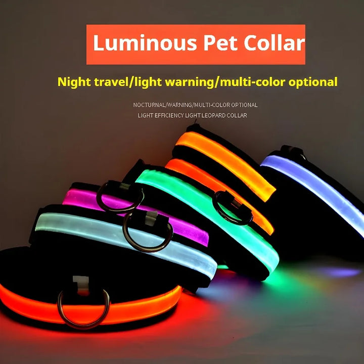 NightGlow LED Collar