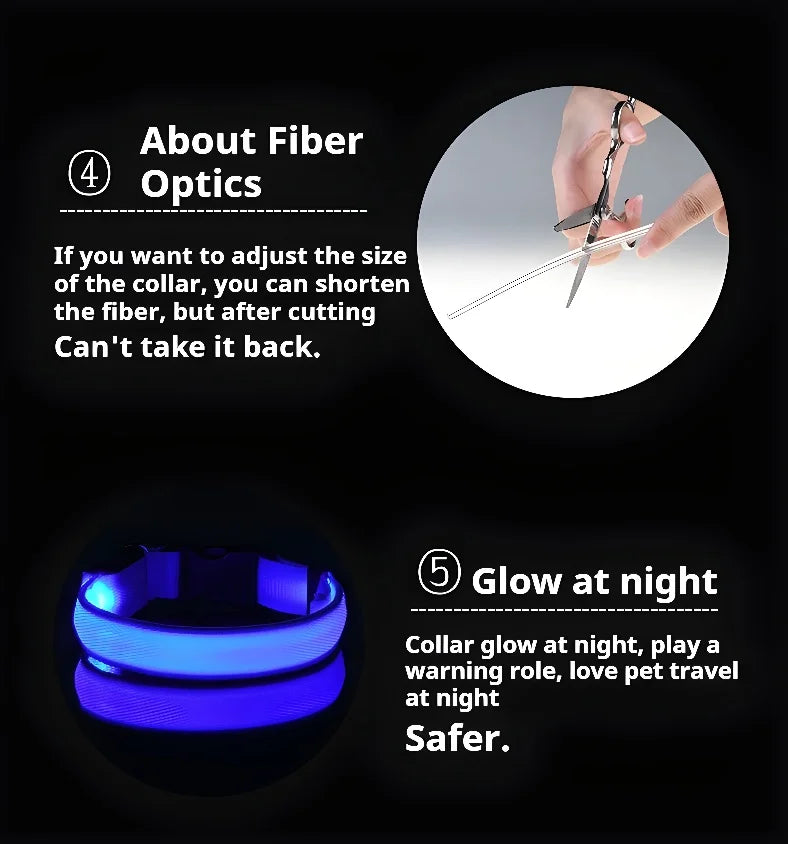 NightGlow LED Collar