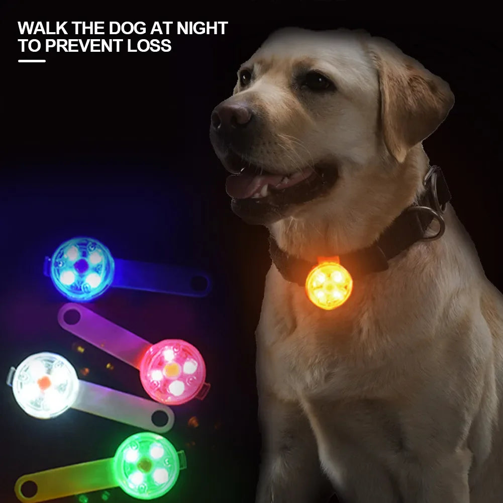 BarkBlings™ LED Safety Pendant – Waterproof and USB Rechargeable, Perfect Anti-Loss Light