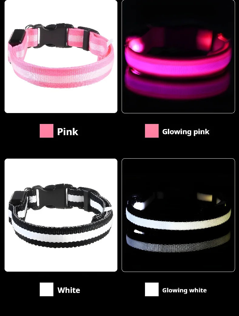 NightGlow LED Collar