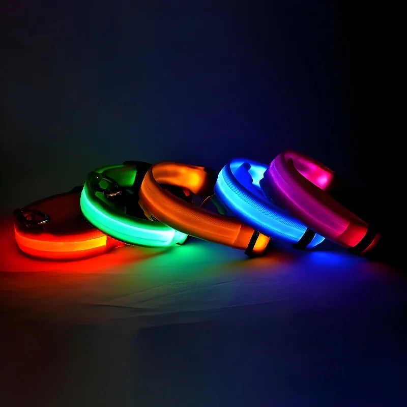 NightGlow LED Collar