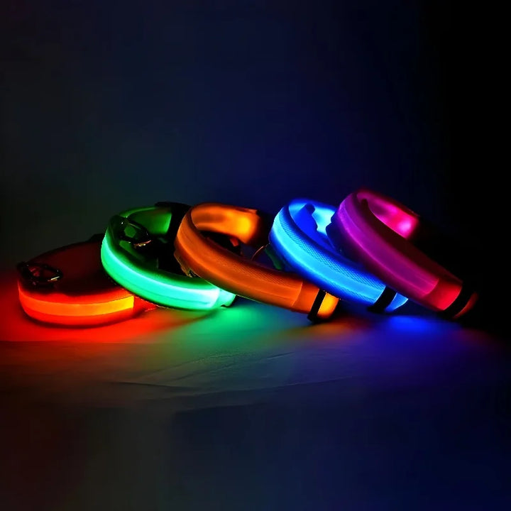 NightGlow LED Collar