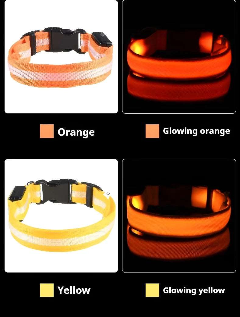 NightGlow LED Collar