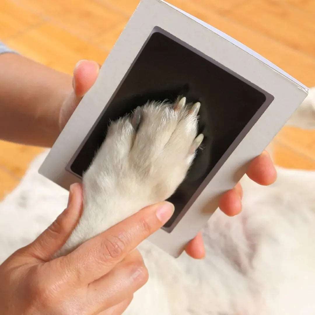 BarkBlings™ Paw Print Kit – Create Lasting Inkless Paw Impressions