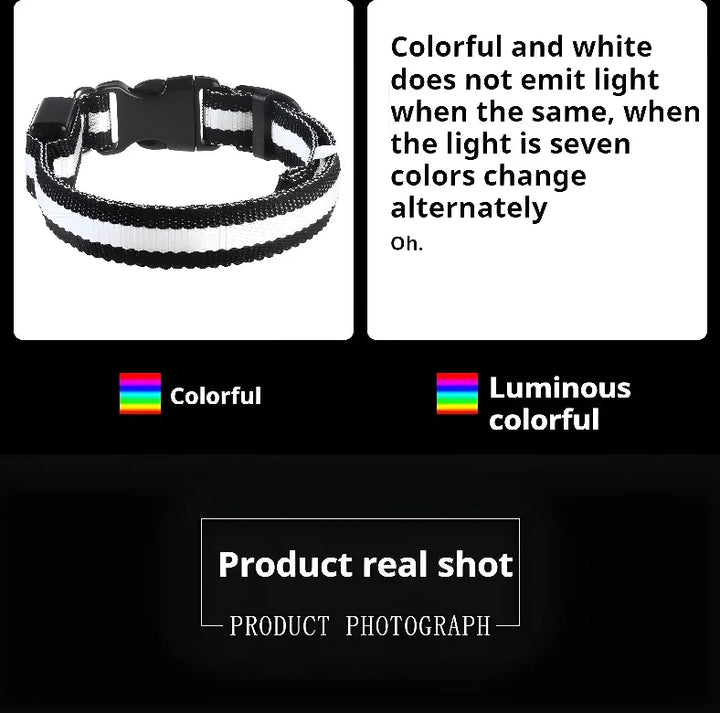 NightGlow LED Collar