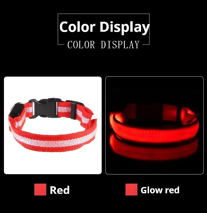 NightGlow LED Collar