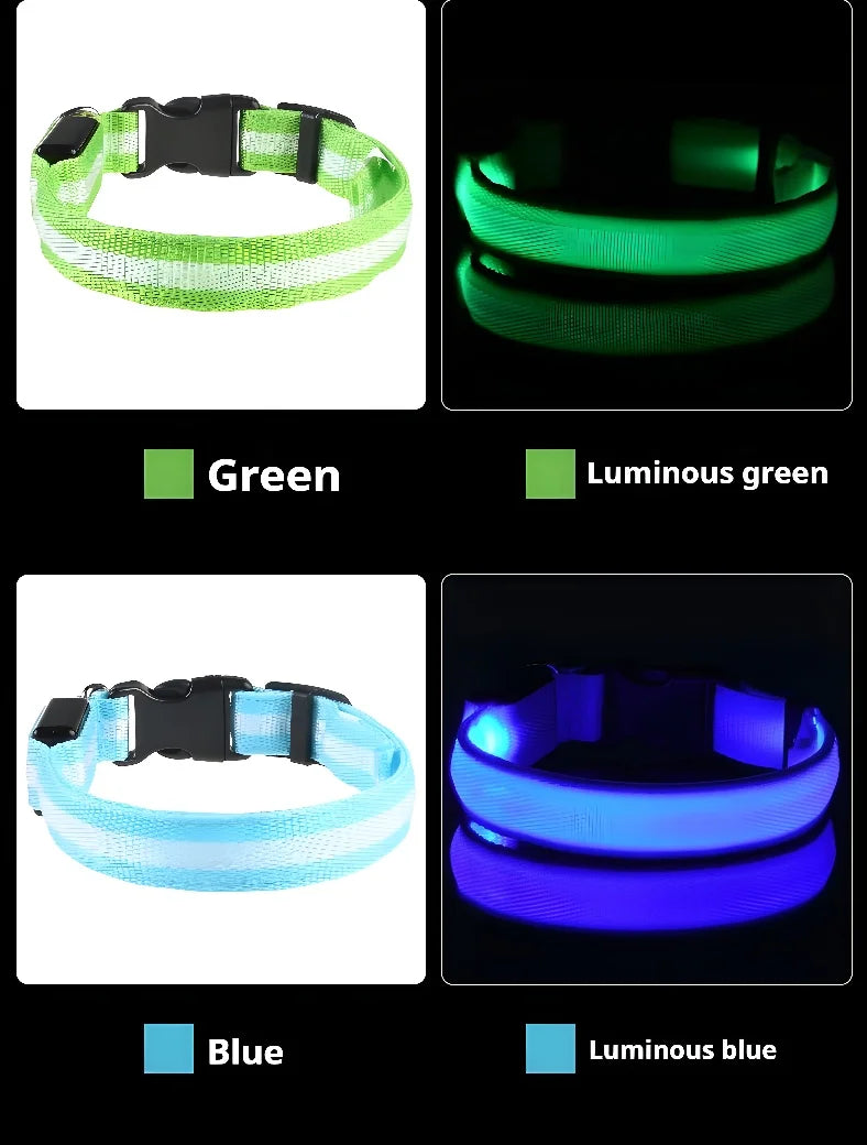 NightGlow LED Collar