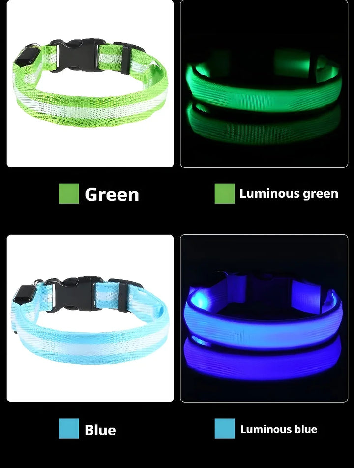 NightGlow LED Collar