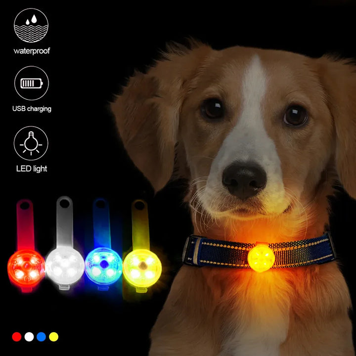 BarkBlings™ LED Safety Pendant – Waterproof and USB Rechargeable, Perfect Anti-Loss Light