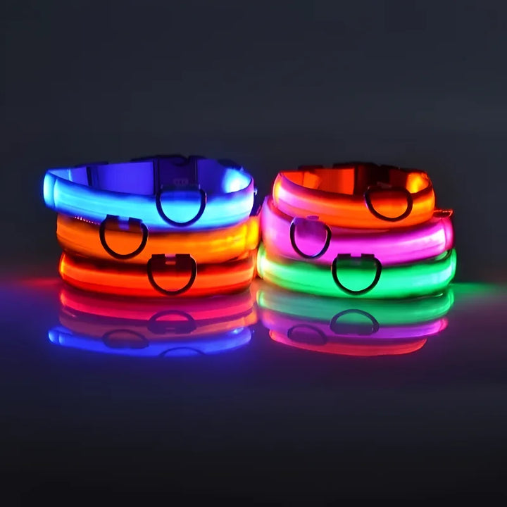 NightGlow LED Collar