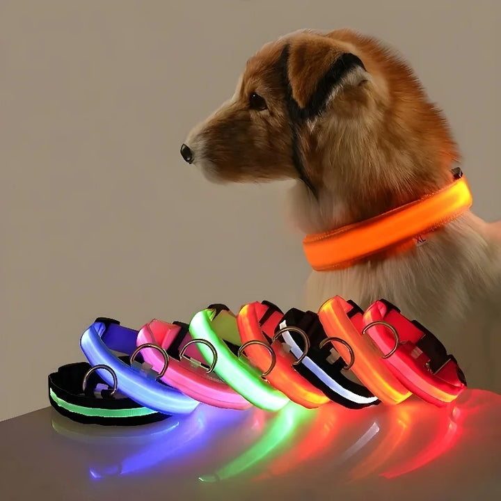 NightGlow LED Collar