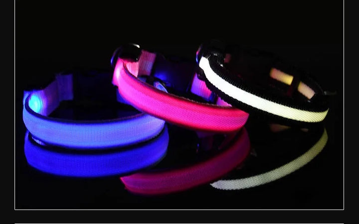 NightGlow LED Collar