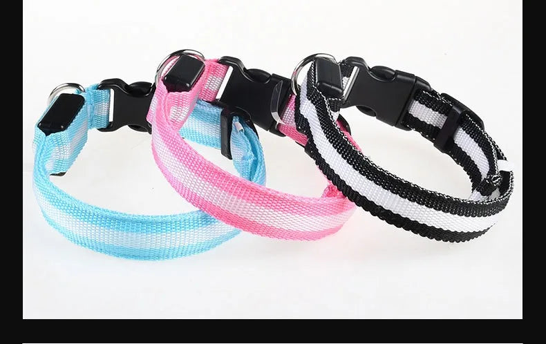 NightGlow LED Collar