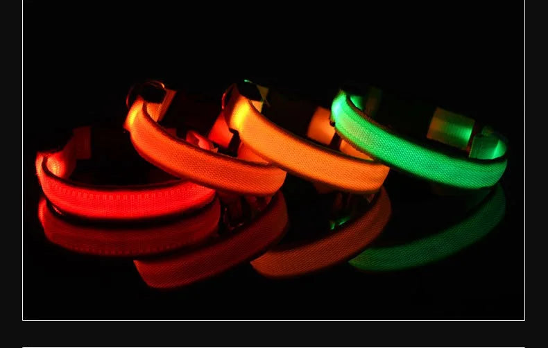 NightGlow LED Collar