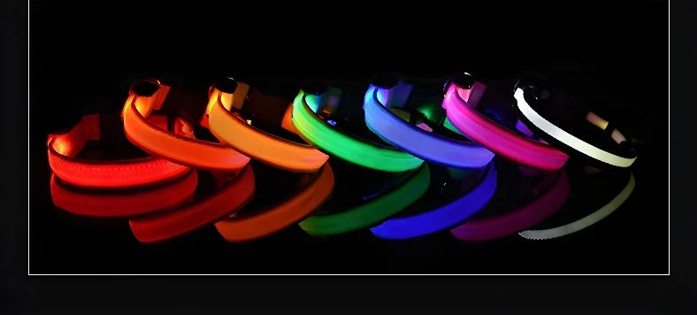 NightGlow LED Collar