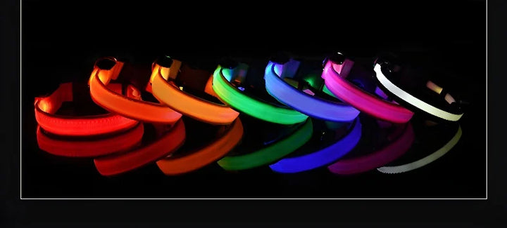 NightGlow LED Collar