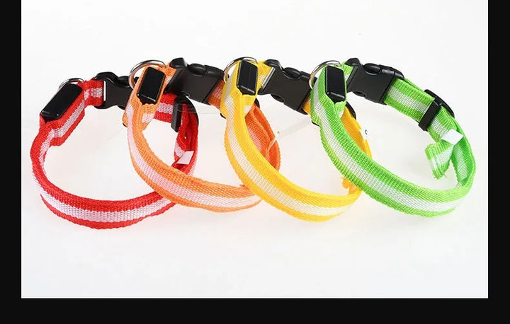 NightGlow LED Collar